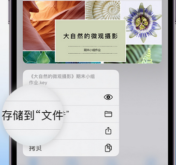 索县apple维修中心分享iPhone文件应用中存储和找到下载文件