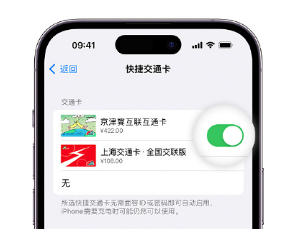 索县apple维修点分享iPhone上更换Apple Pay快捷交通卡手绘卡面 