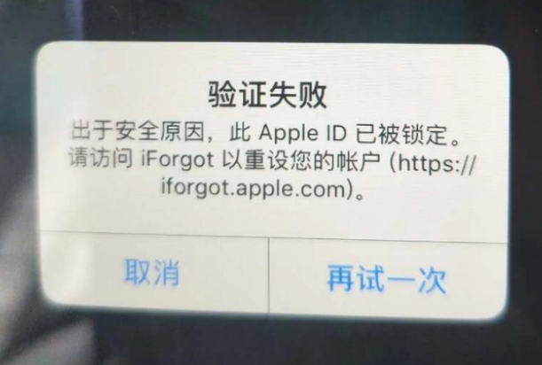 索县iPhone维修分享iPhone上正常登录或使用AppleID怎么办 