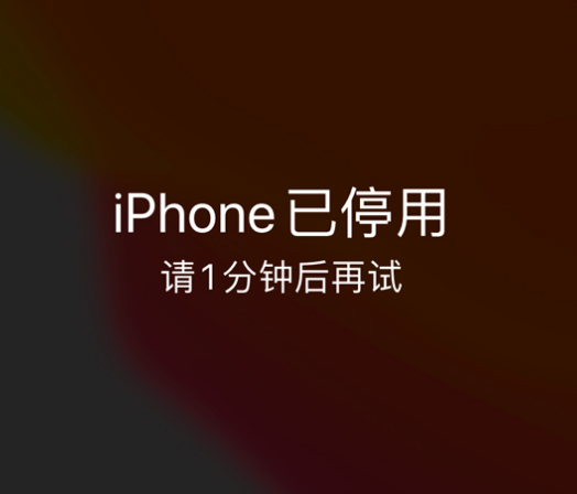 索县苹果手机维修分享:iPhone 显示“不可用”或“已停用”怎么办？还能保留数据吗？ 