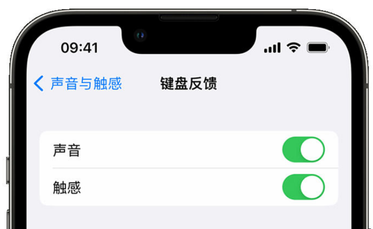 索县苹果手机维修分享iPhone 14触感键盘使用方法 