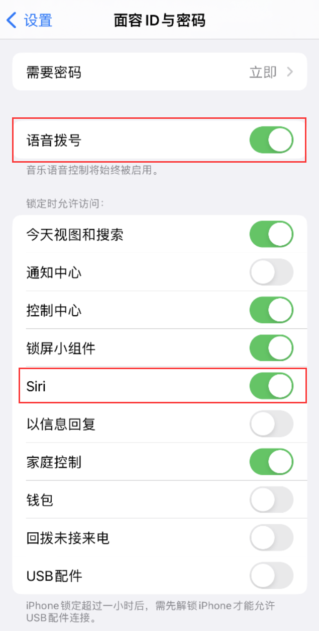 索县苹果维修网点分享不解锁 iPhone 的情况下通过 Siri 拨打电话的方法 