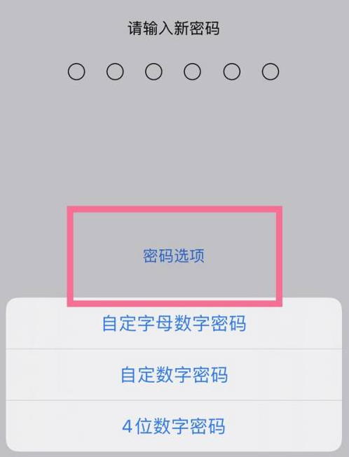 索县苹果14维修分享iPhone 14plus设置密码的方法 