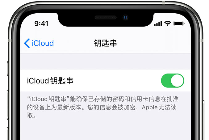 索县苹果手机维修分享在 iPhone 上开启 iCloud 钥匙串之后会储存哪些信息 