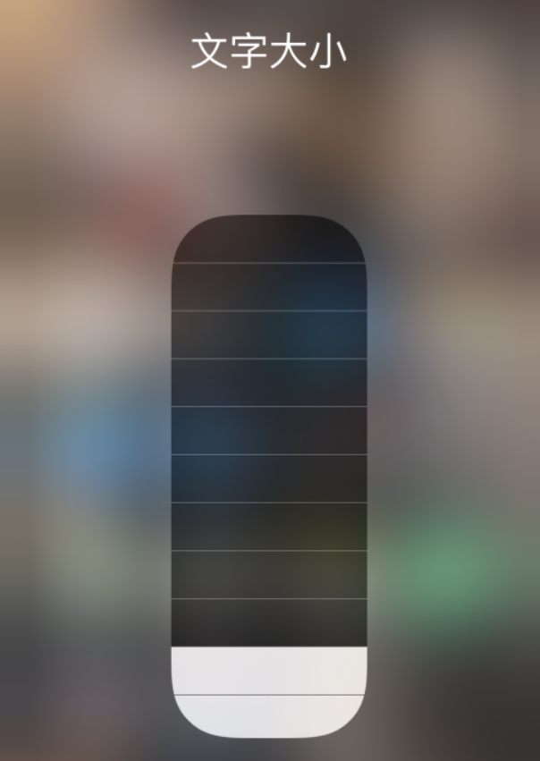 索县苹果手机维修分享小技巧：在 iPhone 控制中心快速调节字体大小 
