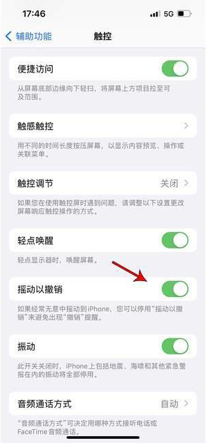 索县苹果手机维修分享iPhone手机如何设置摇一摇删除文字 