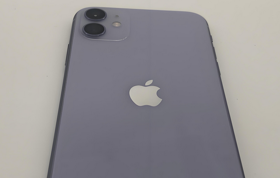 索县苹果11系统维修分享iPhone11手机系统崩溃无法开机如何解决 